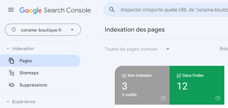 google search console exemple